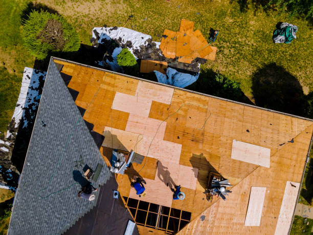 Best Roof Gutter Cleaning  in Logan, IA
