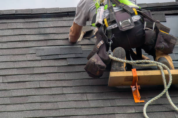 Best Storm Damage Roof Repair  in Logan, IA