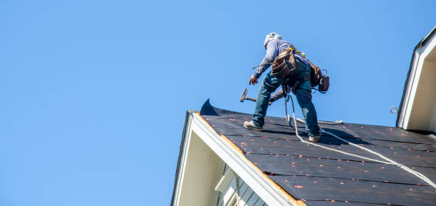 Best Shingle Roofing Installation  in Logan, IA